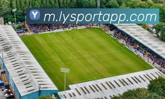 乐鱼体育AppAPP 封面图